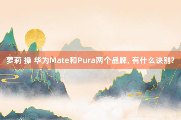 萝莉 操 华为Mate和Pura两个品牌， 有什么诀别?