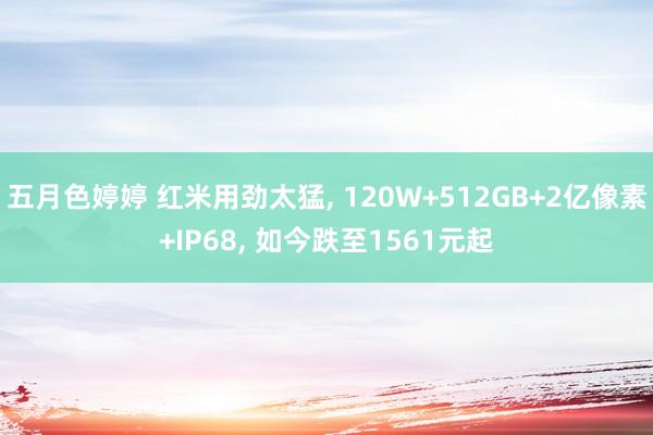 五月色婷婷 红米用劲太猛， 120W+512GB+2亿像素+IP68， 如今跌至1561元起