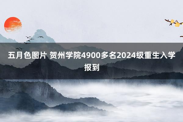 五月色图片 贺州学院4900多名2024级重生入学报到