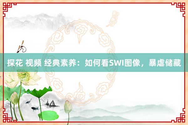 探花 视频 经典素养：如何看SWI图像，暴虐储藏