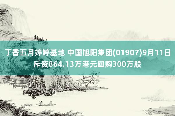 丁香五月婷婷基地 中国旭阳集团(01907)9月11日斥资864.13万港元回购300万股