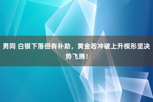 男同 白银下落但有补助，黄金若冲破上升楔形坚决势飞腾！