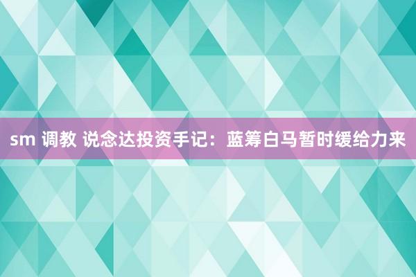 sm 调教 说念达投资手记：蓝筹白马暂时缓给力来