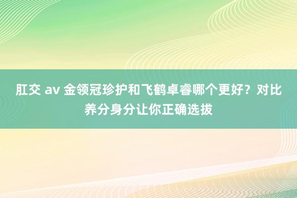 肛交 av 金领冠珍护和飞鹤卓睿哪个更好？对比养分身分让你正确选拔