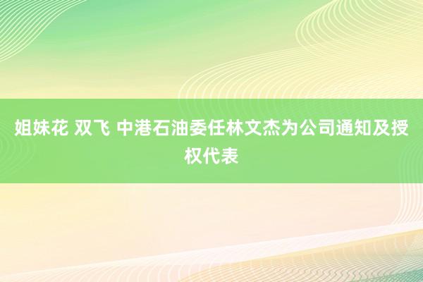 姐妹花 双飞 中港石油委任林文杰为公司通知及授权代表