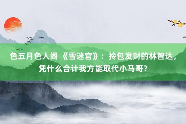 色五月色人阁 《雪迷宫》：拎包发财的林智达，凭什么合计我方能取代小马哥？