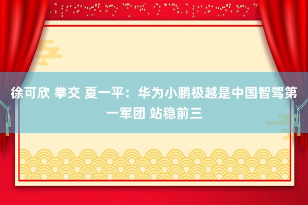 徐可欣 拳交 夏一平：华为小鹏极越是中国智驾第一军团 站稳前三