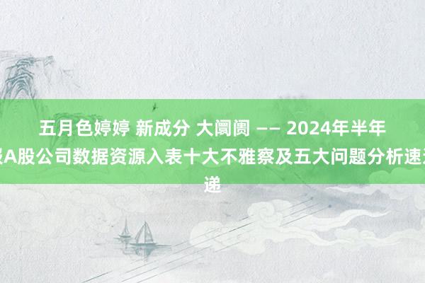 五月色婷婷 新成分 大阛阓 —— 2024年半年报A股公司数据资源入表十大不雅察及五大问题分析速递