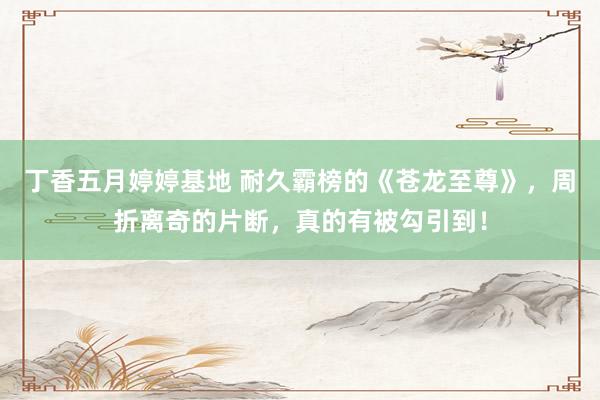 丁香五月婷婷基地 耐久霸榜的《苍龙至尊》，周折离奇的片断，真的有被勾引到！