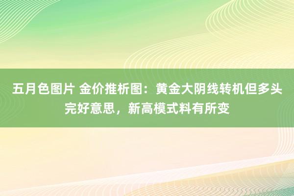 五月色图片 金价推析图：黄金大阴线转机但多头完好意思，新高模式料有所变