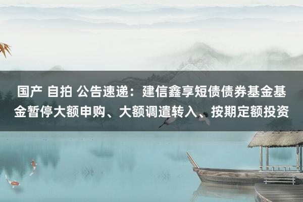 国产 自拍 公告速递：建信鑫享短债债券基金基金暂停大额申购、大额调遣转入、按期定额投资