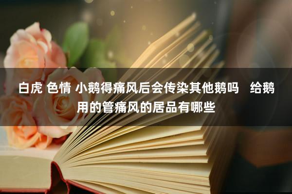 白虎 色情 小鹅得痛风后会传染其他鹅吗   给鹅用的管痛风的居品有哪些