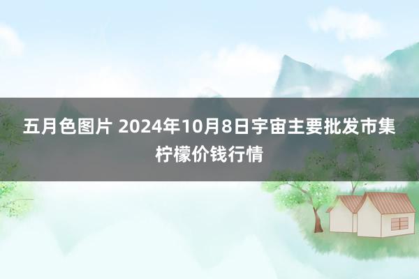 五月色图片 2024年10月8日宇宙主要批发市集柠檬价钱行情