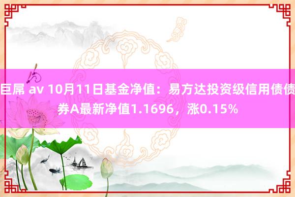 巨屌 av 10月11日基金净值：易方达投资级信用债债券A最新净值1.1696，涨0.15%