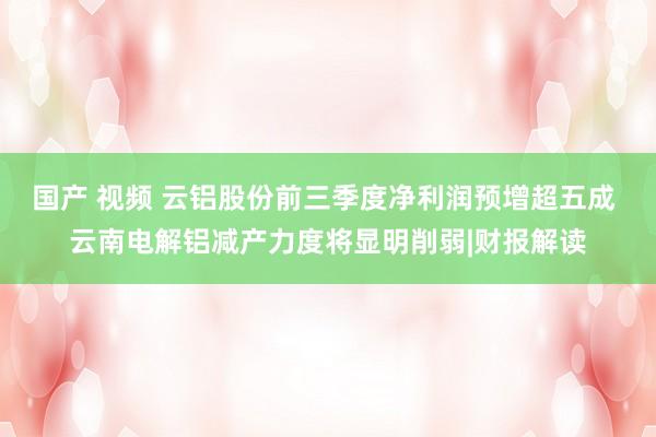 国产 视频 云铝股份前三季度净利润预增超五成 云南电解铝减产力度将显明削弱|财报解读