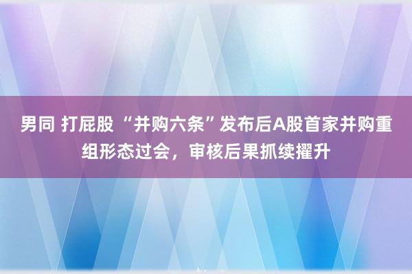 男同 打屁股 “并购六条”发布后A股首家并购重组形态过会，审核后果抓续擢升