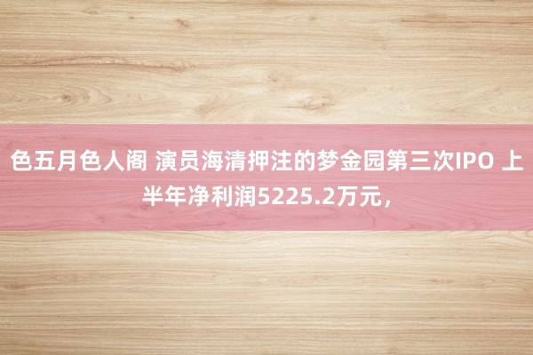 色五月色人阁 演员海清押注的梦金园第三次IPO 上半年净利润5225.2万元，