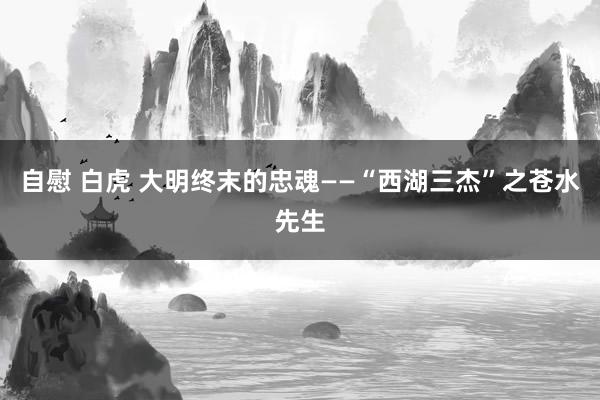 自慰 白虎 大明终末的忠魂——“西湖三杰”之苍水先生