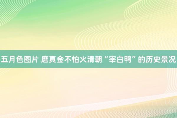 五月色图片 磨真金不怕火清朝“宰白鸭”的历史景况