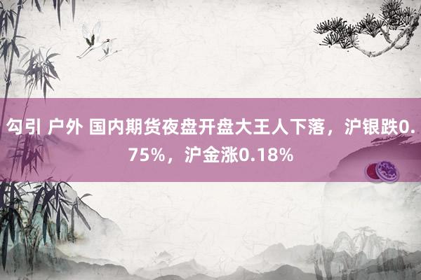 勾引 户外 国内期货夜盘开盘大王人下落，沪银跌0.75%，沪金涨0.18%