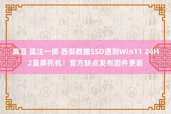 麻豆 孤注一掷 西部数据SSD遇到Win11 24H2蓝屏死机！官方缺点发布固件更新