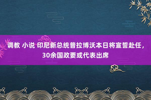 调教 小说 印尼新总统普拉博沃本日将宣誓赴任，30余国政要或代表出席