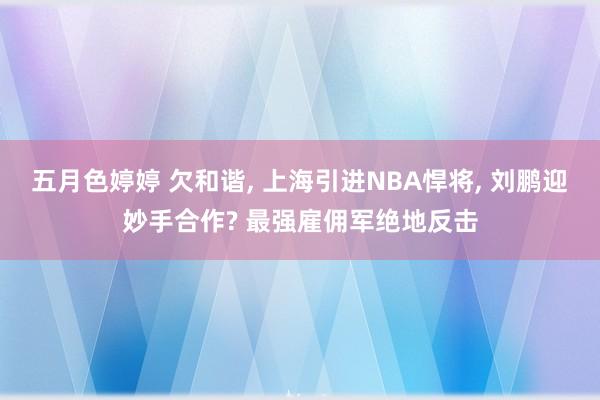 五月色婷婷 欠和谐， 上海引进NBA悍将， 刘鹏迎妙手合作? 最强雇佣军绝地反击