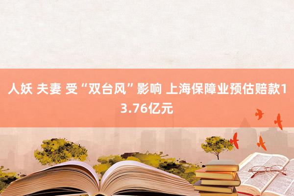 人妖 夫妻 受“双台风”影响 上海保障业预估赔款13.76亿元