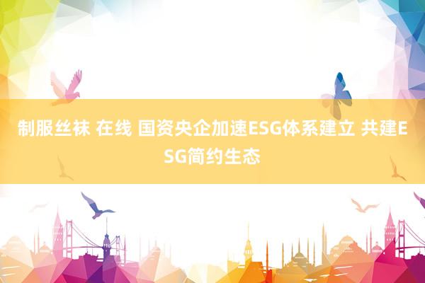 制服丝袜 在线 国资央企加速ESG体系建立 共建ESG简约生态