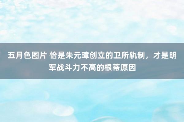 五月色图片 恰是朱元璋创立的卫所轨制，才是明军战斗力不高的根蒂原因