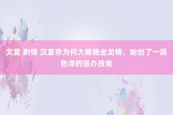 文爱 剧情 汉宣帝为何大略稳坐龙椅，始创了一段色泽的惩办技能