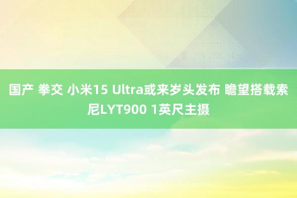 国产 拳交 小米15 Ultra或来岁头发布 瞻望搭载索尼LYT900 1英尺主摄