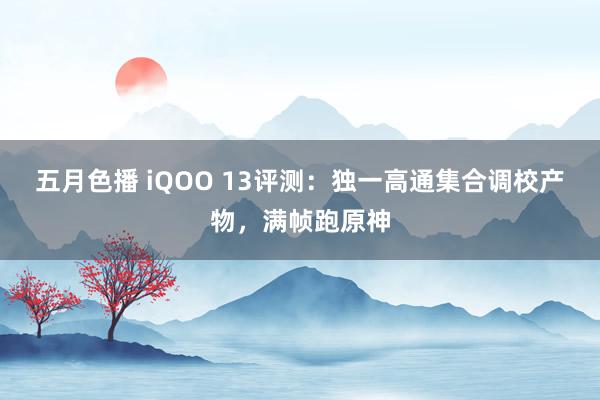 五月色播 iQOO 13评测：独一高通集合调校产物，满帧跑原神