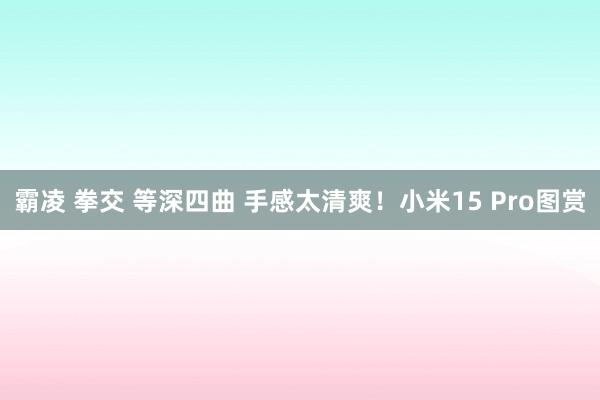 霸凌 拳交 等深四曲 手感太清爽！小米15 Pro图赏