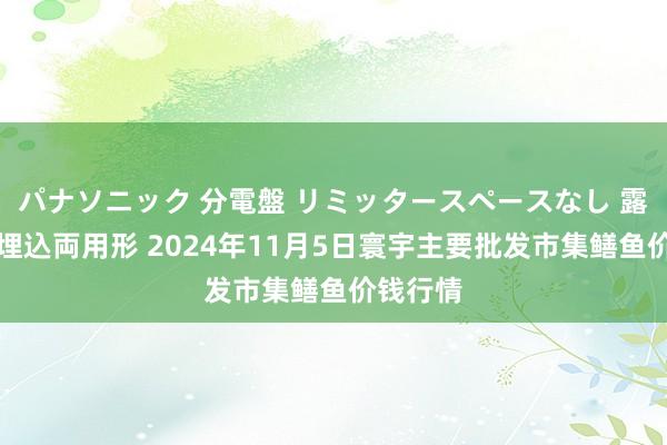 パナソニック 分電盤 リミッタースペースなし 露出・半埋込両用形 2024年11月5日寰宇主要批发市集鳝鱼价钱行情