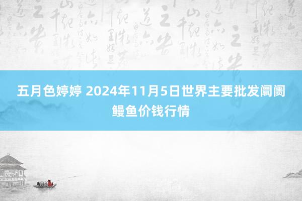 五月色婷婷 2024年11月5日世界主要批发阛阓鳗鱼价钱行情