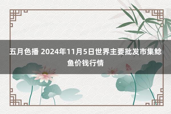 五月色播 2024年11月5日世界主要批发市集鲶鱼价钱行情