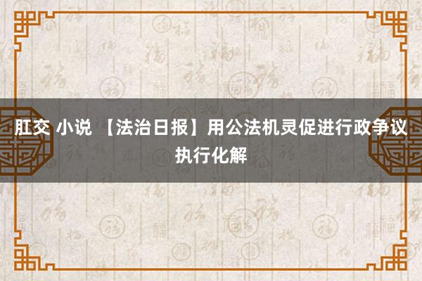 肛交 小说 【法治日报】用公法机灵促进行政争议执行化解