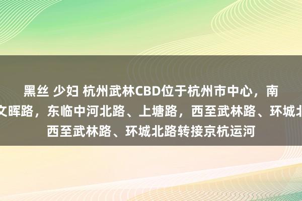 黑丝 少妇 杭州武林CBD位于杭州市中心，南起庆春路，北到文晖路，东临中河北路、上塘路，西至武林路、环城北路转接京杭运河