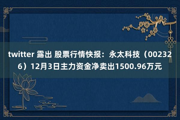 twitter 露出 股票行情快报：永太科技（002326）12月3日主力资金净卖出1500.96万元