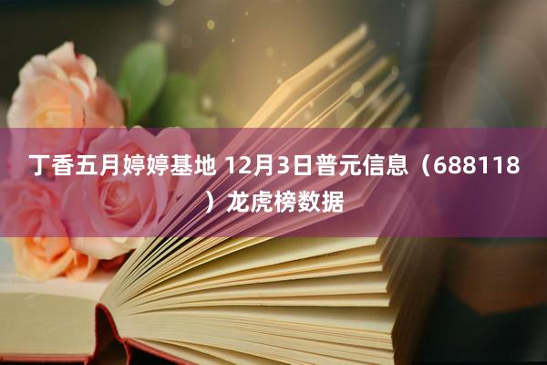 丁香五月婷婷基地 12月3日普元信息（688118）龙虎榜数据