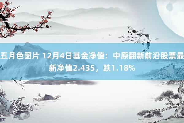 五月色图片 12月4日基金净值：中原翻新前沿股票最新净值2.435，跌1.18%