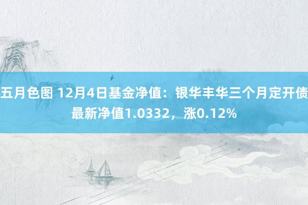 五月色图 12月4日基金净值：银华丰华三个月定开债最新净值1.0332，涨0.12%