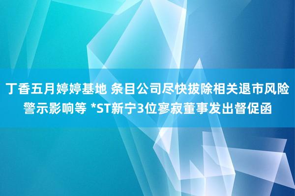 丁香五月婷婷基地 条目公司尽快拔除相关退市风险警示影响等 *ST新宁3位寥寂董事发出督促函