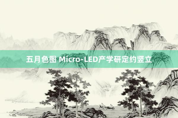 五月色图 Micro-LED产学研定约竖立