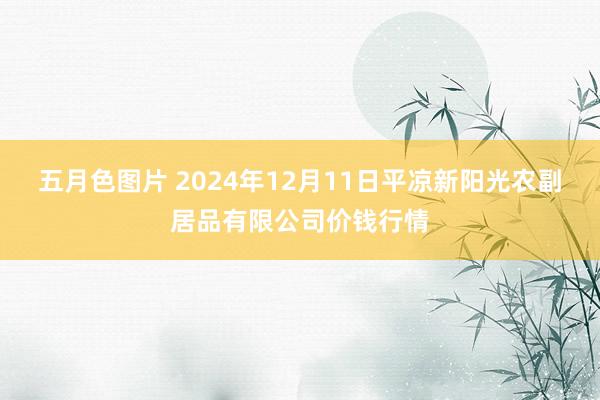 五月色图片 2024年12月11日平凉新阳光农副居品有限公司价钱行情