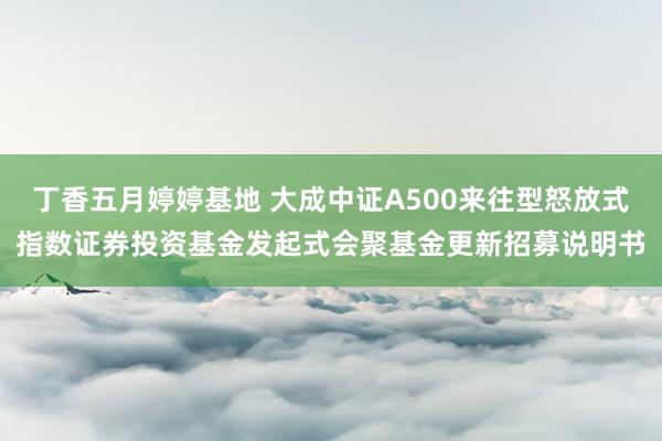 丁香五月婷婷基地 大成中证A500来往型怒放式指数证券投资基金发起式会聚基金更新招募说明书