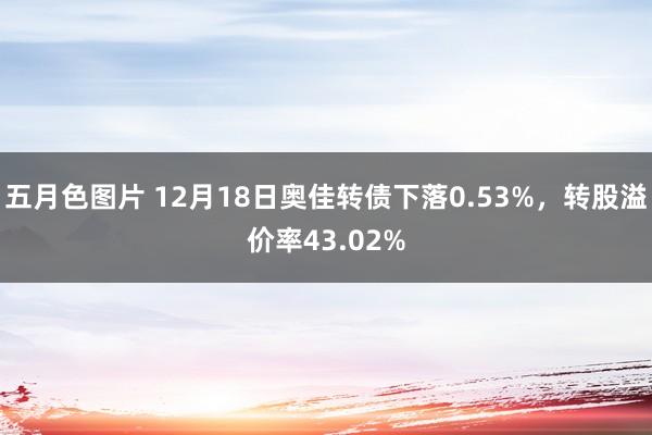 五月色图片 12月18日奥佳转债下落0.53%，转股溢价率43.02%