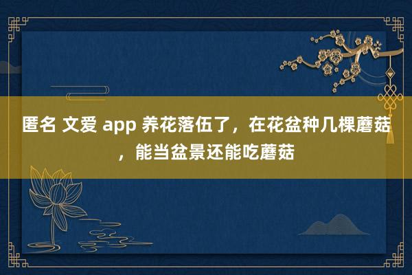 匿名 文爱 app 养花落伍了，在花盆种几棵蘑菇，能当盆景还能吃蘑菇