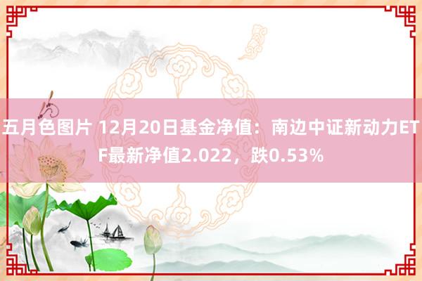 五月色图片 12月20日基金净值：南边中证新动力ETF最新净值2.022，跌0.53%